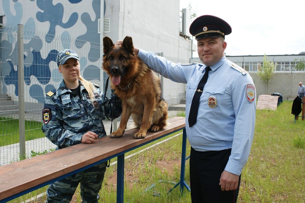 Жена плохого не посоветует