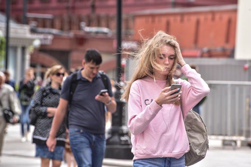 Порывистый ветер придет в Москву