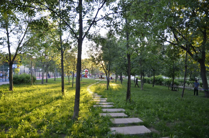 Парк «Борисовские пруды» благоустроят