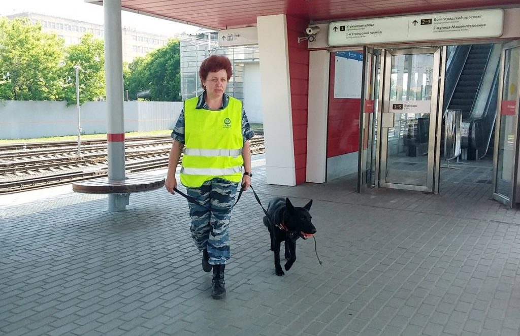 Четвероногие охранники появились на станции МЦК «Площадь Гагарина»