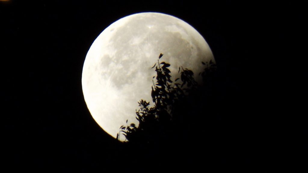 Москвичи увидят самое длительное затмение Луны