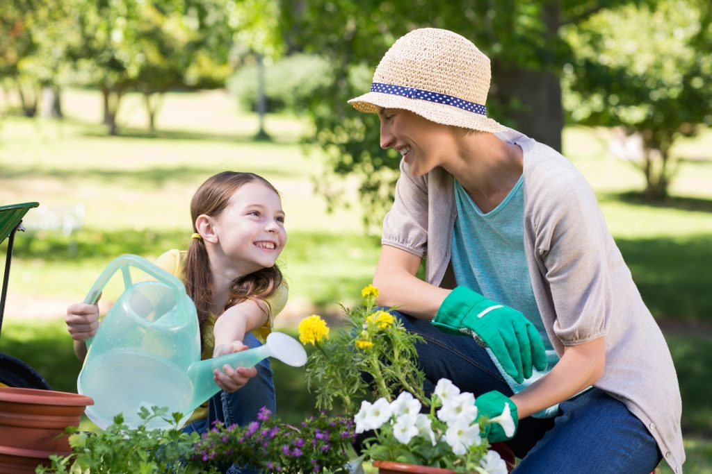 18 августа 2018 года. Жить в садовых товариществах станет проще: за счет бюджета столицы сделают детские площадки, дороги, проведут свет. Фото: Shutterstock