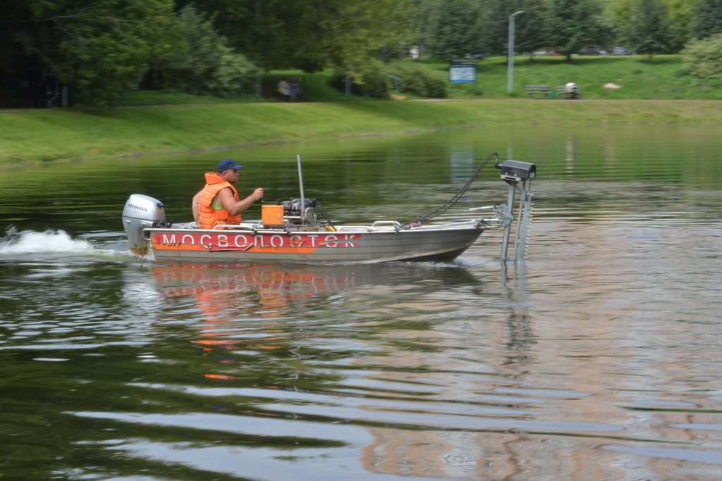 Для очистки на водоемах Москвы высадили более 11 тысяч гиацинтов