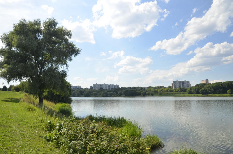 Любимые места Москвы: горожане выберут лучший природный парк
