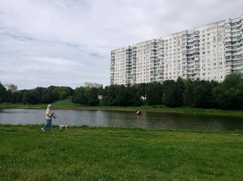 Красный пруд в Чертанове: каких перемен хотят москвичи