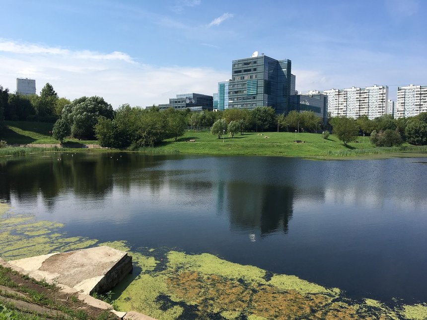 Варшавские пруды благоустроят по просьбе жителей. Фото: Анна Быкова