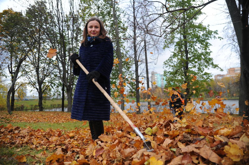 В ходе голосования участники могут оставить свое мнение, стоит ли убирать опавшую листву во дворах. Фото: Светлана Колоскова