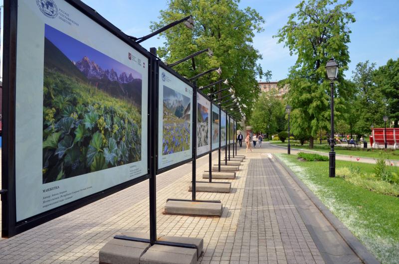 Выставка лучших «народных» фотографий откроется в парках округа