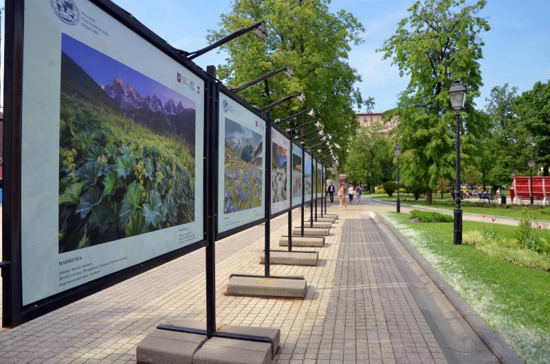 Выставка лучших фотографий о благотворительности откроется в Южном округе. Фото: Анна Быкова, «Вечерняя Москва» 