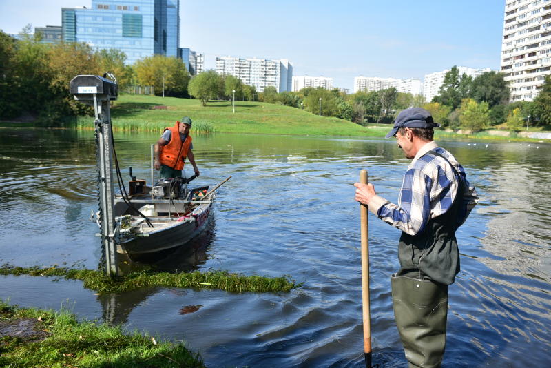Специалисты почистили Варшавские пруды. Фото: Пелагия Замятина, «Вечерняя Москва»