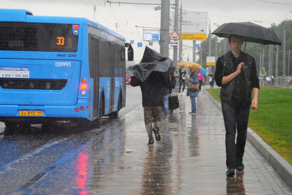 Водителям Москвы посоветовали спастись от дождя в автобусах