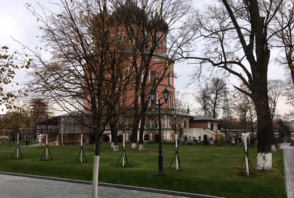Историческая аллея: 70 лип высадили у Донского монастыря