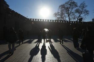 Фото: Александр Кожохин Фото: Александр Кожохин