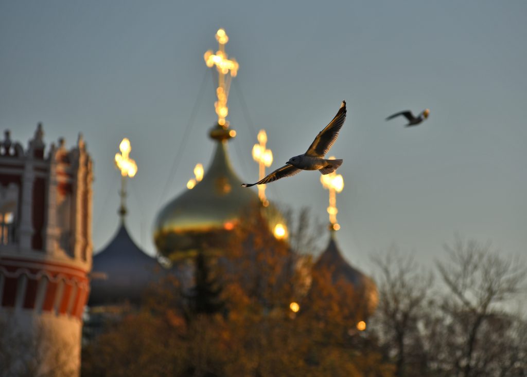 В Москву придут 10-градусные морозы