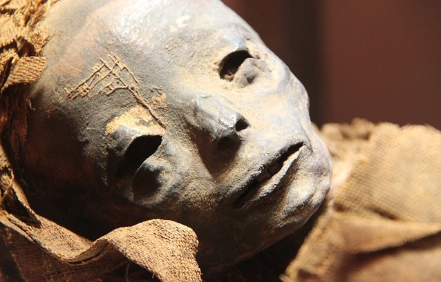На юге Москвы началась проверка после обнаружения мумифицированного тела