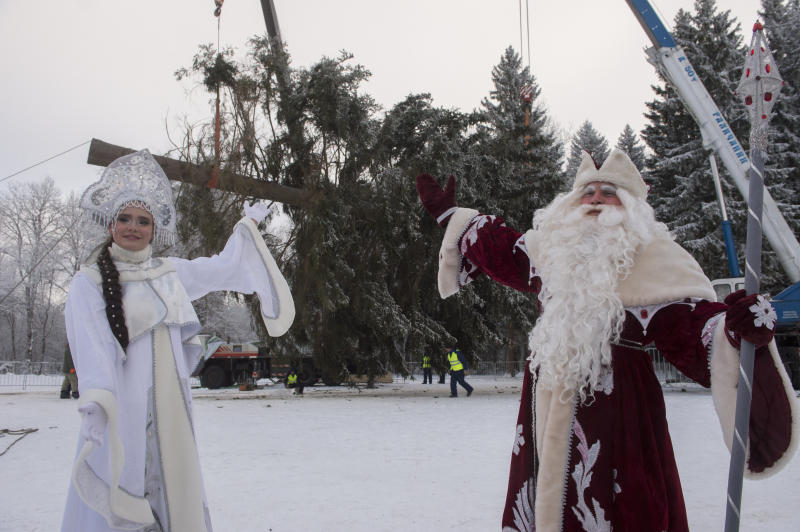 Кремлевскую новогоднюю елку срубят 16 декабря