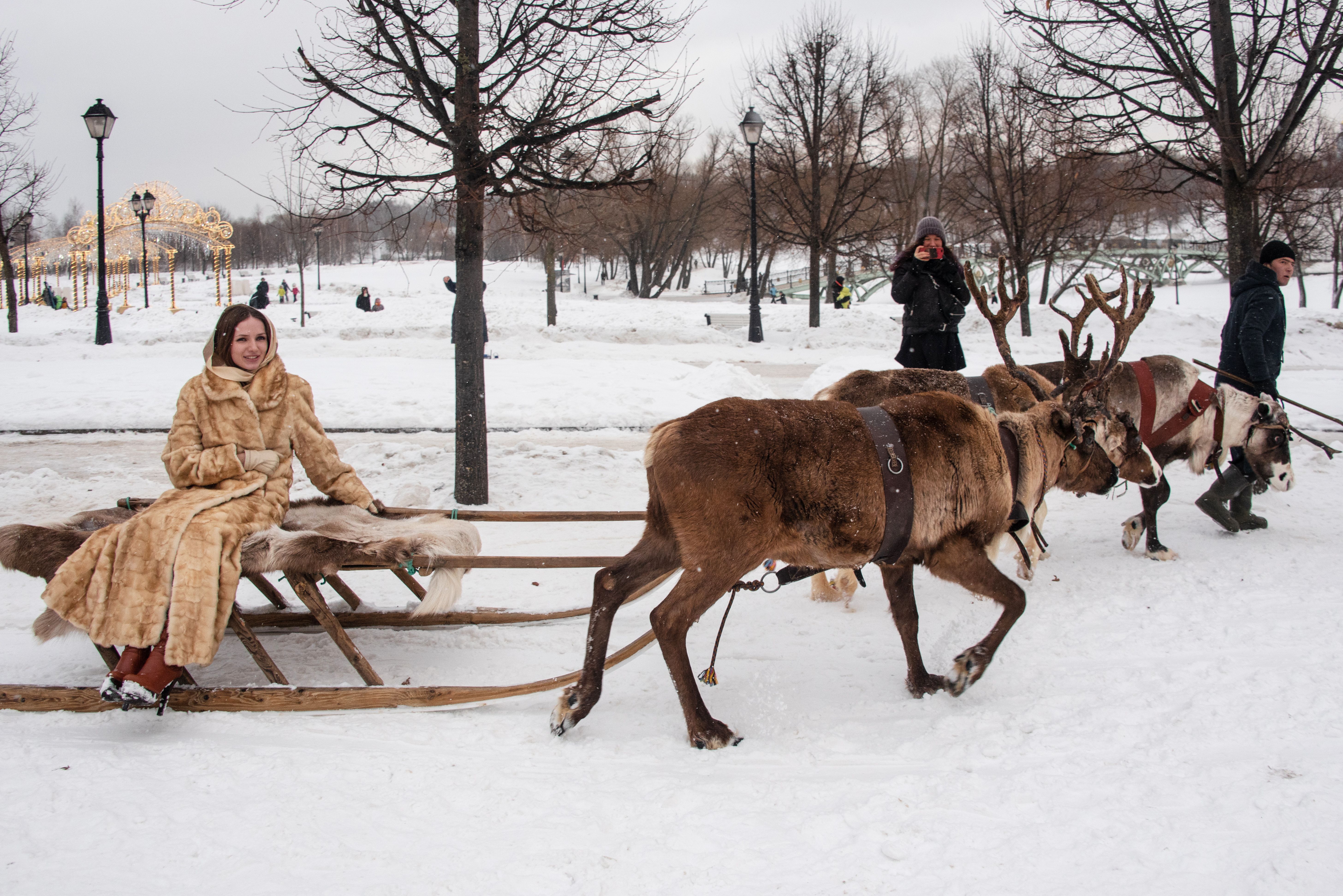 Среда принесет почти 20 градусов мороза в Москву
