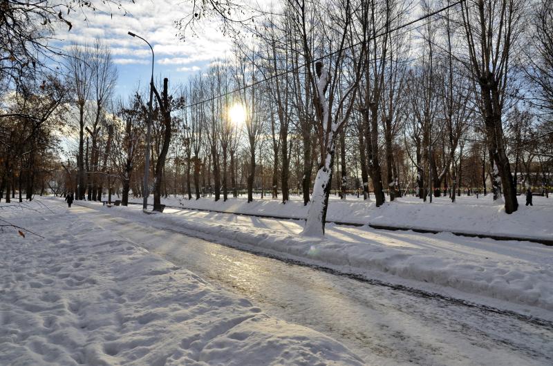 Около тысячи человек поучаствовали в утреннем паркране в столичных парках. Фото: Анна Быкова