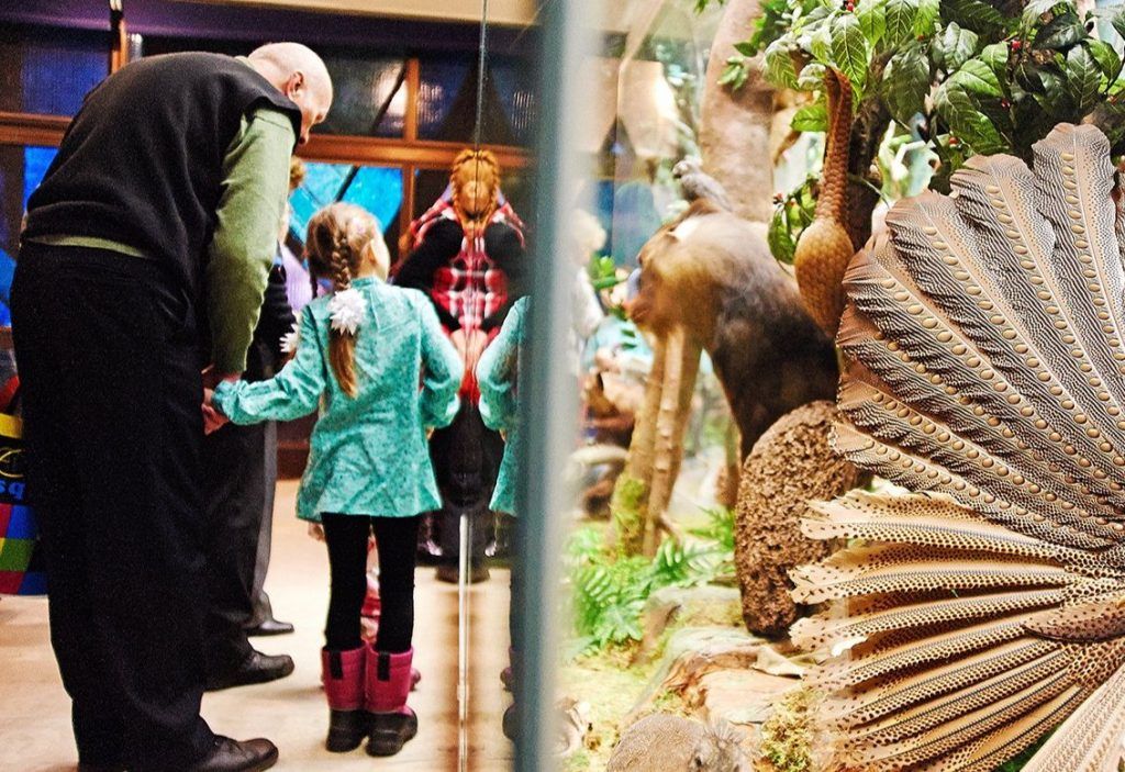 В Дарвиновском музее представят утконоса и древних ехидн. Фото: сайт мэра Москвы
