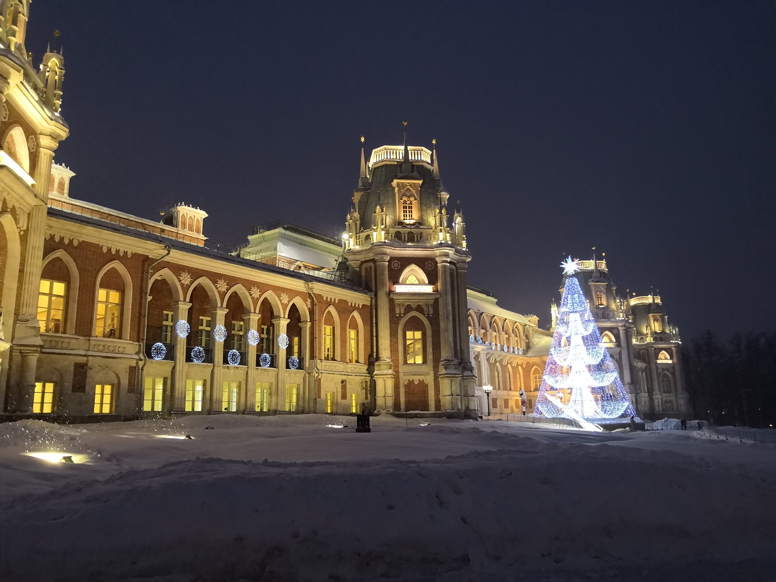 Царицыно в москве 2022