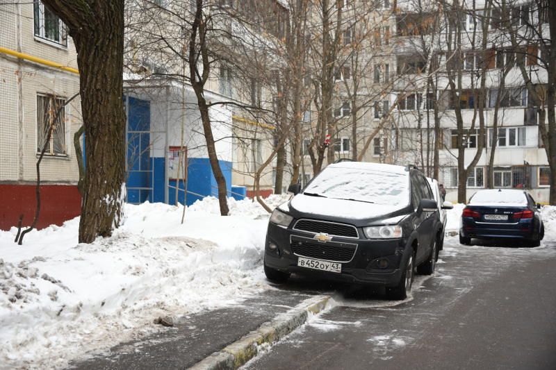 ЦОДД рекомендовал автомобилистам не парковаться у деревьев. Фото: Пелагия Замятина