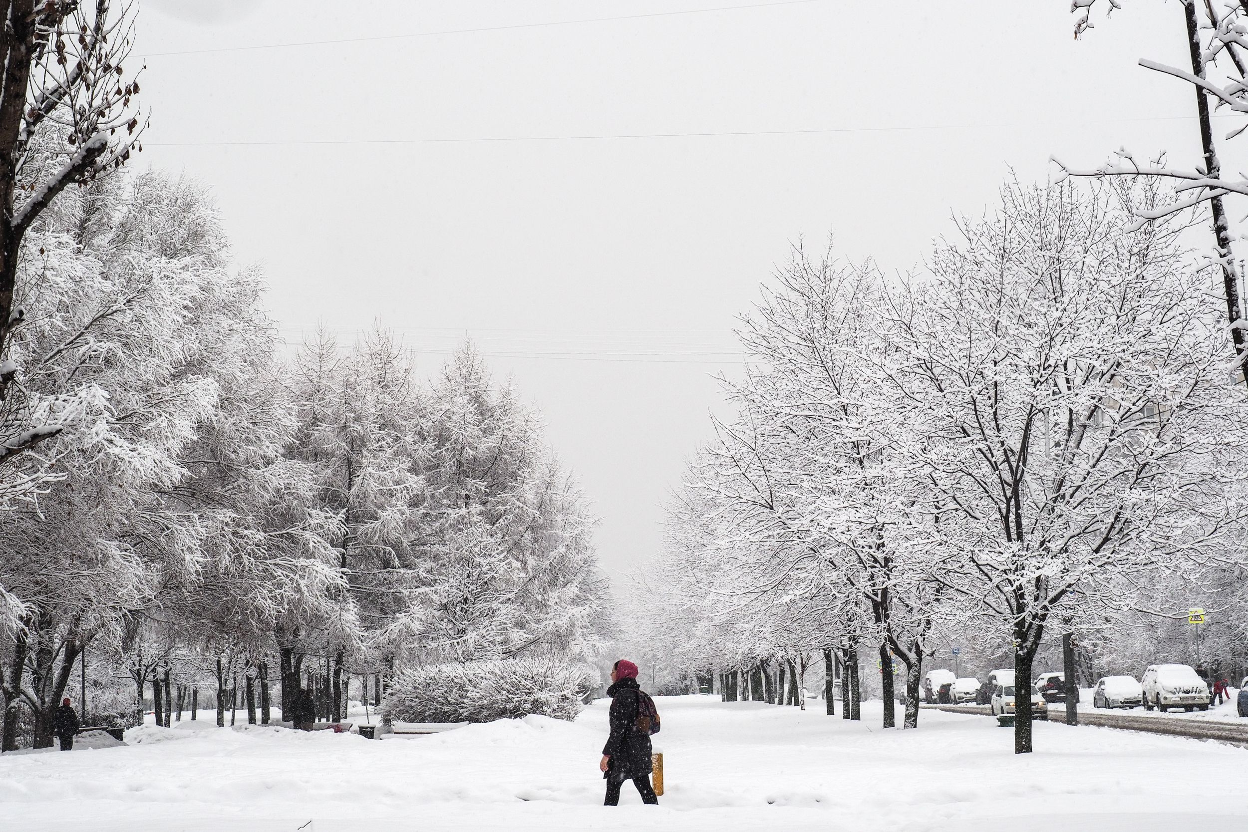 Синоптики: 27 февраля в Москву нагрянет мороз