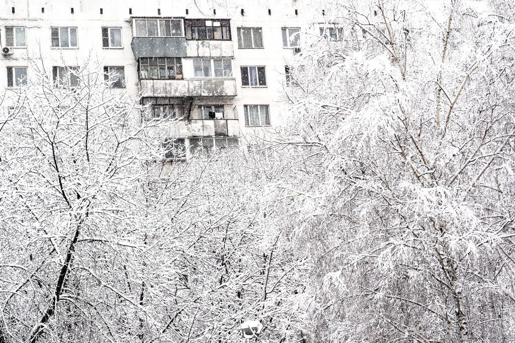 Фото: Павел Волков