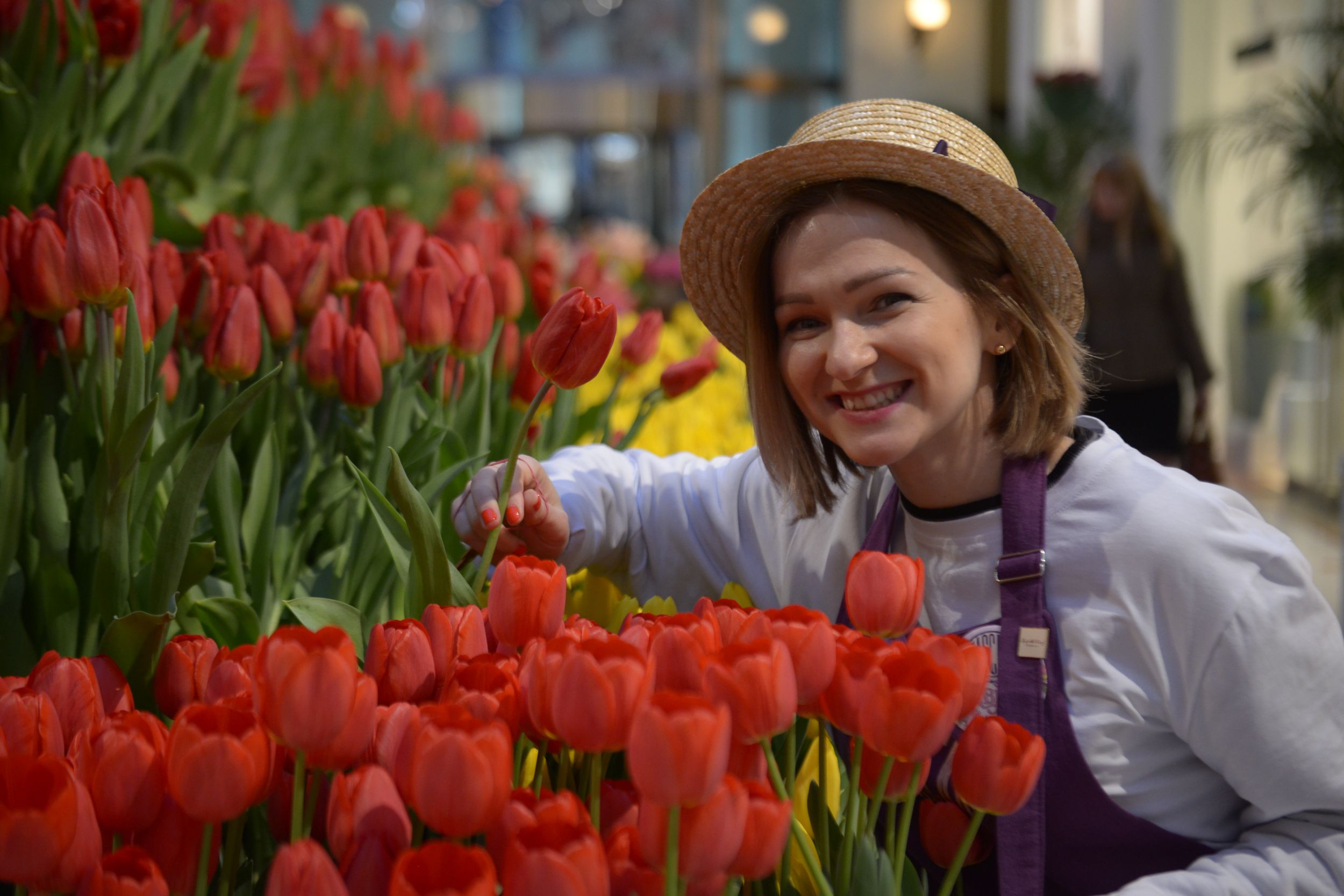 Сколько зарабатывают на тюльпанах. Люди тюльпаны. Фотосессия с тюльпанами. Женщина с тюльпанами. Женщина продает цветы.