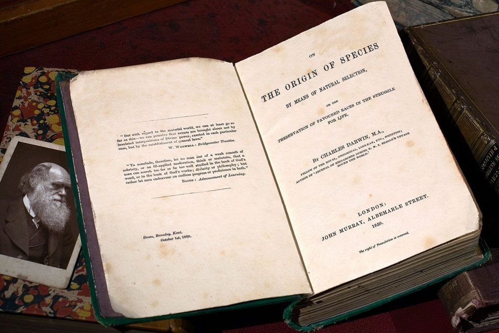 Москвичам впервые за пять лет покажут старинный экземпляр книги Чарльза Дарвина. Фото предоставили сотрудники пресс-службы Государственного Дарвиновского музея Москвичам впервые за пять лет покажут старинный экземпляр книги Чарльза Дарвина. Фото предоставили сотрудники пресс-службы Государственного Дарвиновского музея