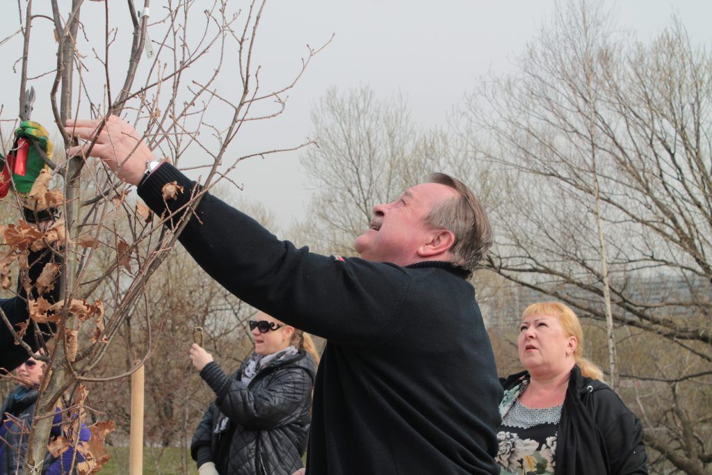 20 апреля 2019 года. Префект Южного округа Алексей Челышев сажает дерево. Фото: Юлия Панова