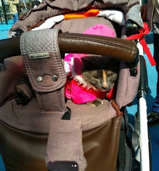 Фото: Любовь Ковдус, народный корреспондент
