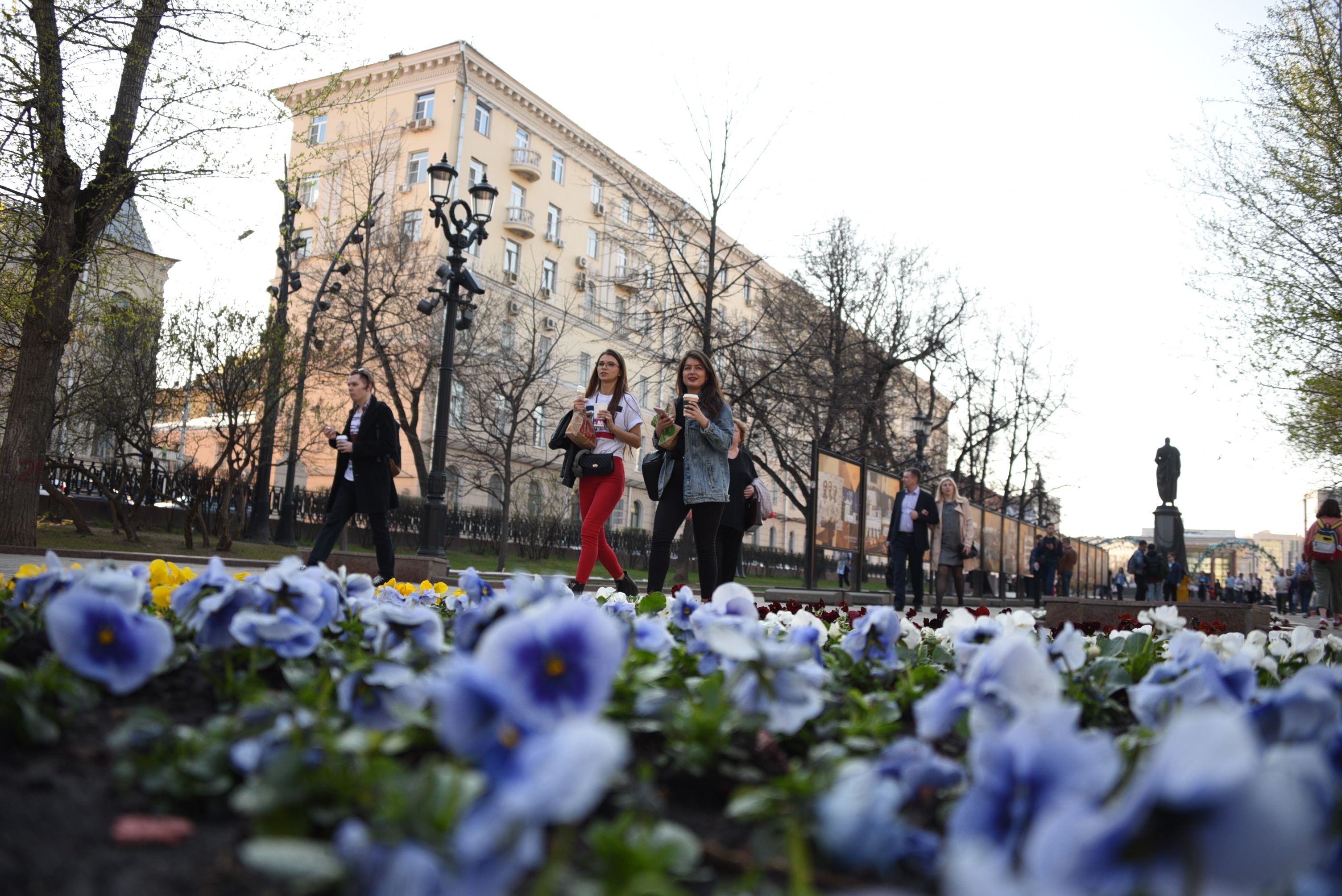 Погода во вторник в Москве будет комфортной