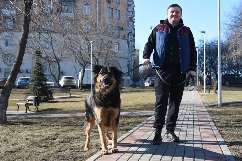 Дворовые территории в Братееве благоустроят в рамках программы «Мой район»