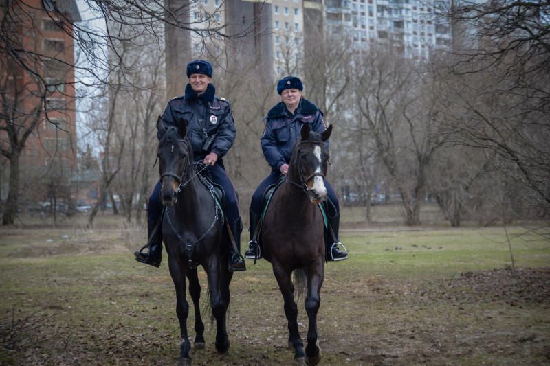 Полицейские ОМВД России по району Чертаново Центральное задержали подозреваемую в умышленном причинении тяжкого вреда здоровью