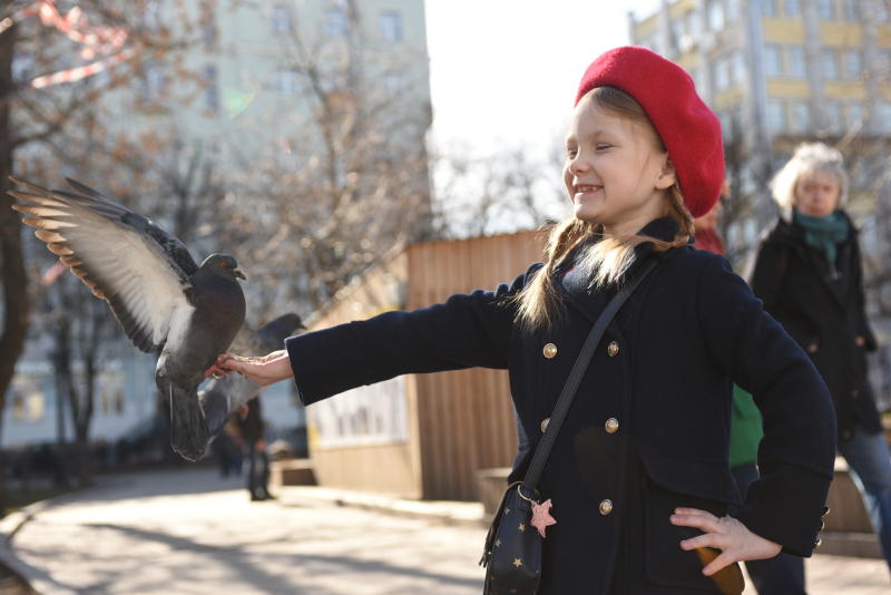 Солнечную погоду ожидают на следующей неделе. Фото: Пелагия Замятина, «Вечерняя Москва»