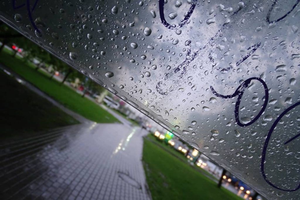 Народный корреспондент не испугался плохой погоды. Фото: пользователь elena.gradova, Instagram