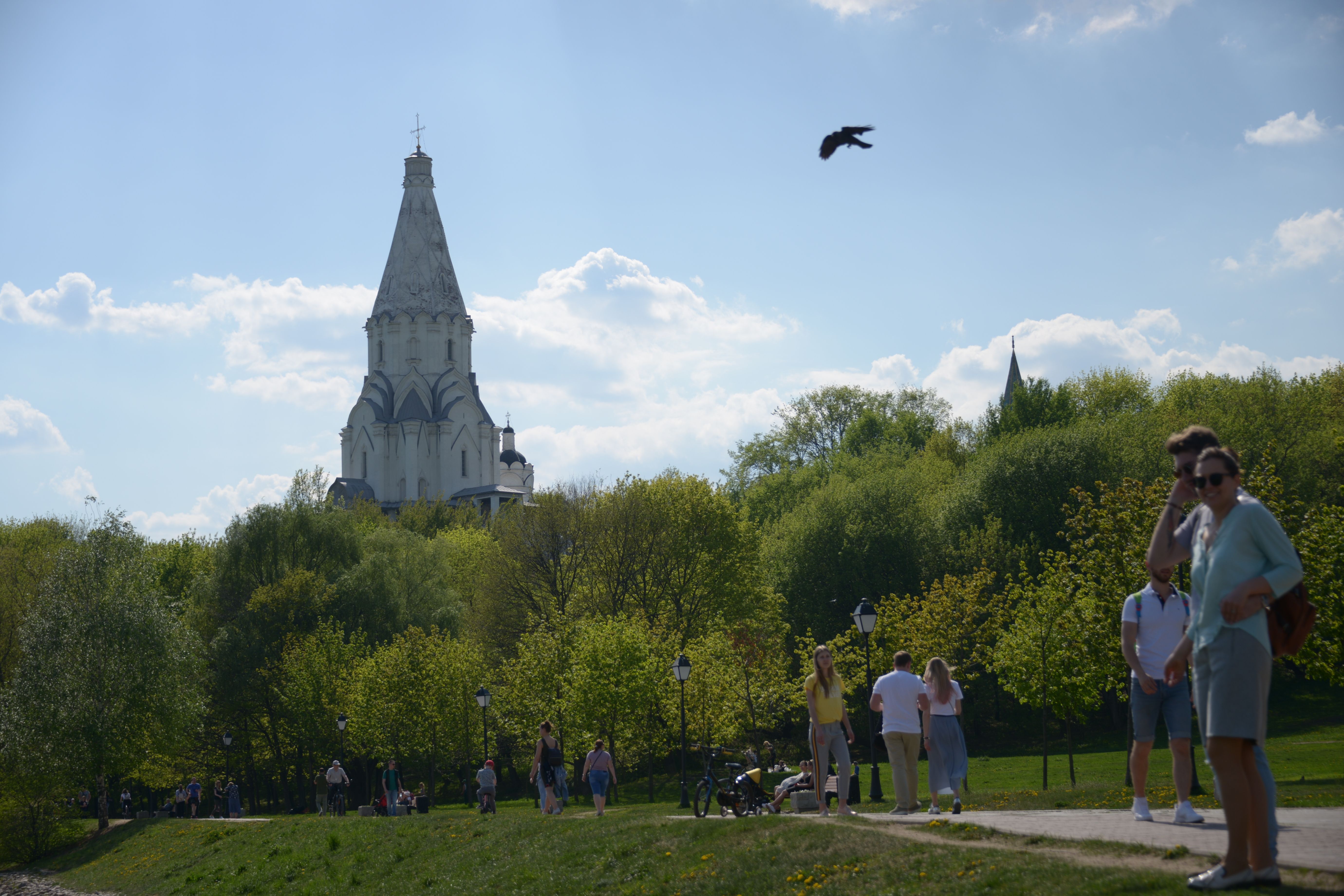 Почти восемь тысяч культурных мероприятий проведут летом в парках Москвы