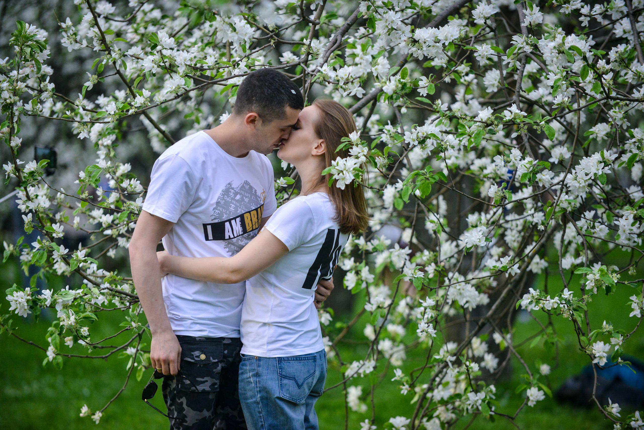 Яблоневый сад для свиданий откроется в Москве к фестивалю «Николин день»