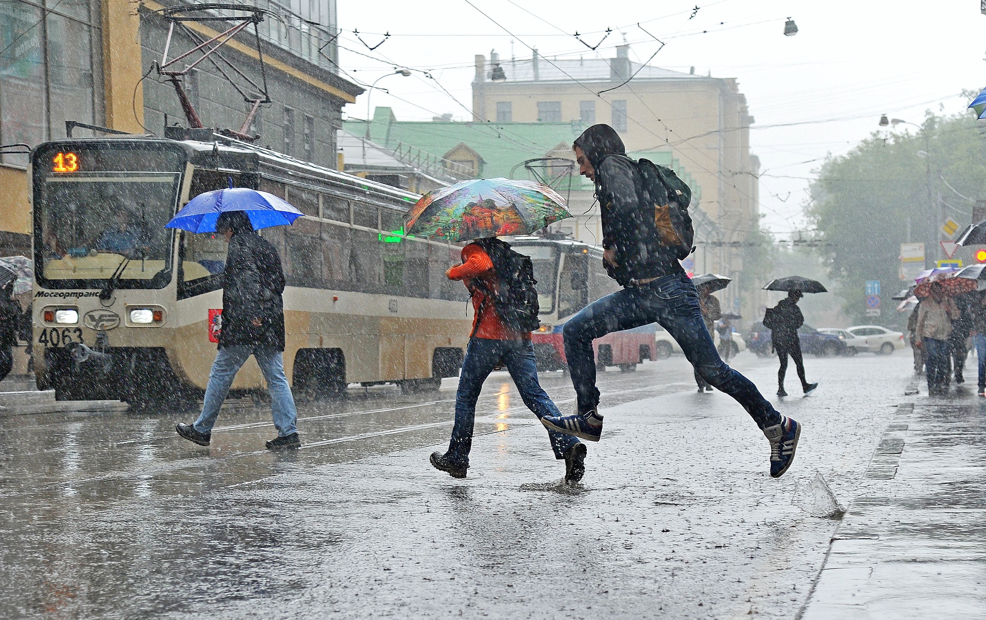 Москва приняла треть месячной нормы дождя за 15 мая
