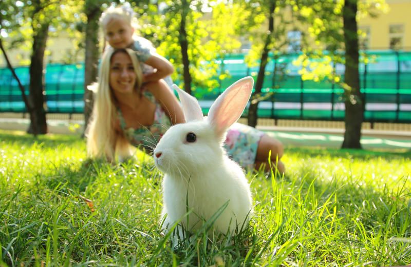 Вниз по кроличьей норе: гостей галереи «На Каширке» пригласили попасть в сказку «Алиса в Стране чудес»