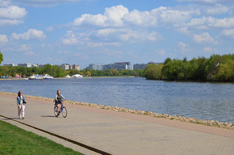 Теплая солнечная погода придет в Москву в воскресенье. Фото: Анна Быкова