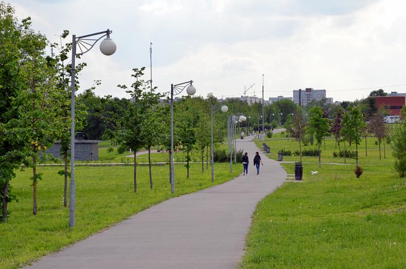 Ореховый бульвар украсят новыми деревьями. Фото: Анна Быкова