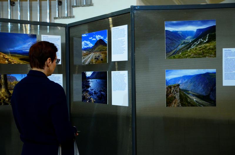 Сотрудники Дарвиновского музея пригласили горожан на фотобиеннале. Фото: Анна Быкова