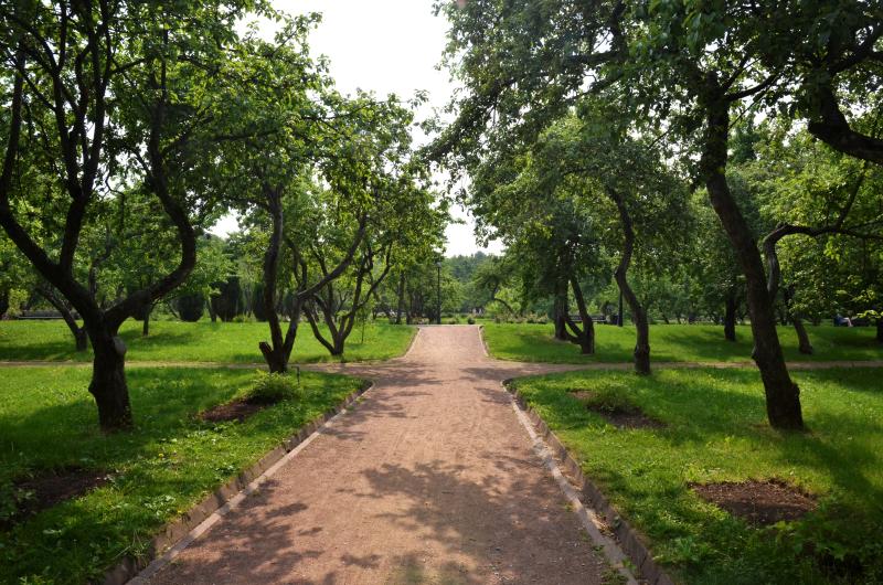 Марафон «Лето с пользой» проведут в парках столицы