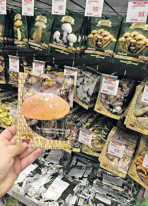 «Семена» грибов, продающиеся в одном из супермаркетов столицы. Фото: Марина Гладкова