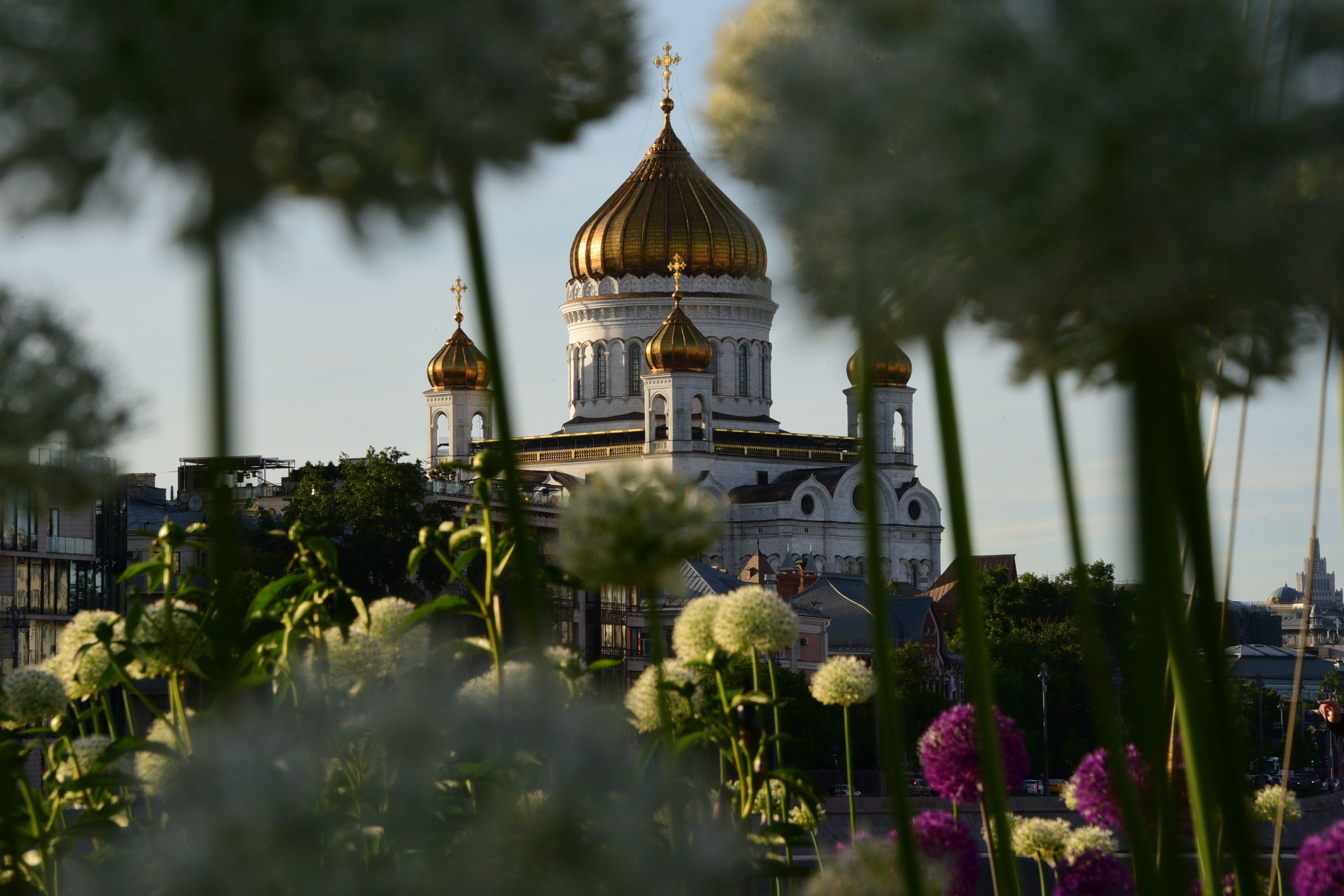 Мощи святых будут находиться в храме Христа Спасителя с 14 по 21 июля. Фото: Пелагия Замятина