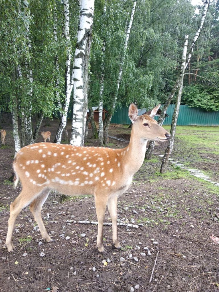 Фото: Полина Замятина