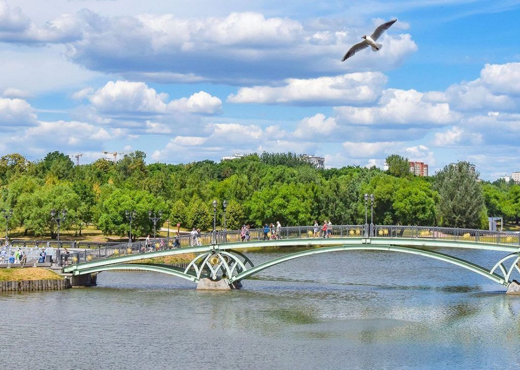 Большую историческую плотину на Царицынских прудах отреставрируют. Фото: сайт мэра Москвы
