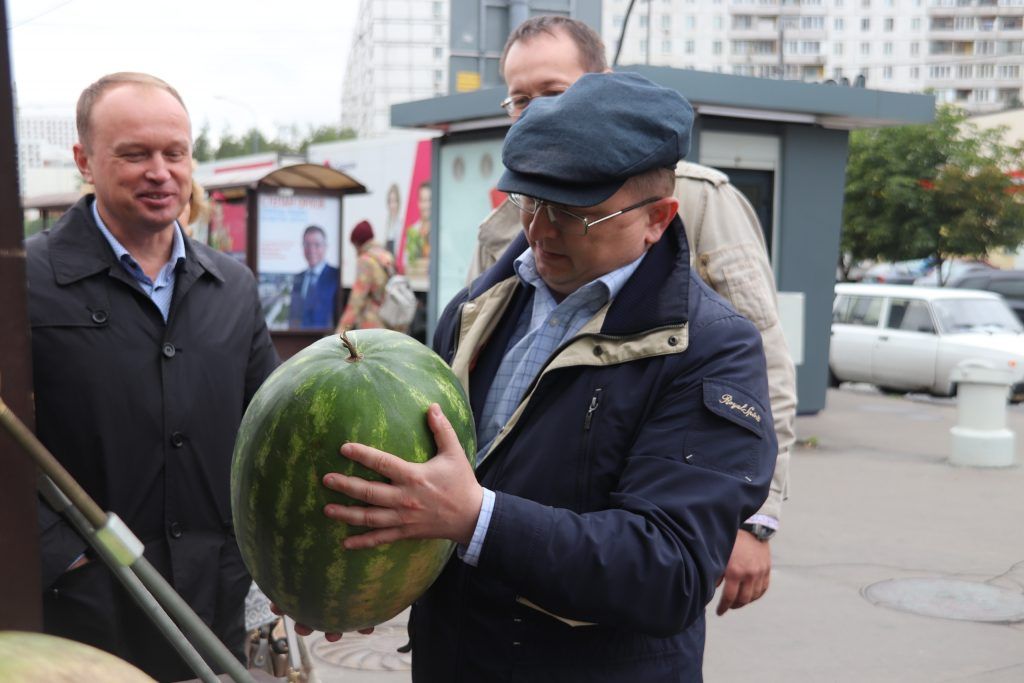 Бахчевые развалы в Орехове-Борисове Южном проверили. Фото: Александра Сарычева Бахчевые развалы в Орехове-Борисове Южном проверили. Фото: Александра Сарычева