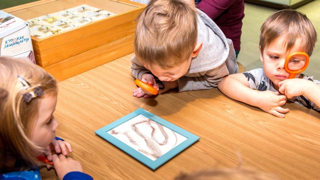Праздник для любознательных детей проведут в Дарвиновском музее. Фото предоставили сотрудники пресс-службы Государственного Дарвиновского музея